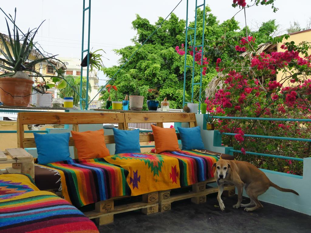 Eco Hotel Club Rolling Stone بوكا شيكا المظهر الخارجي الصورة
