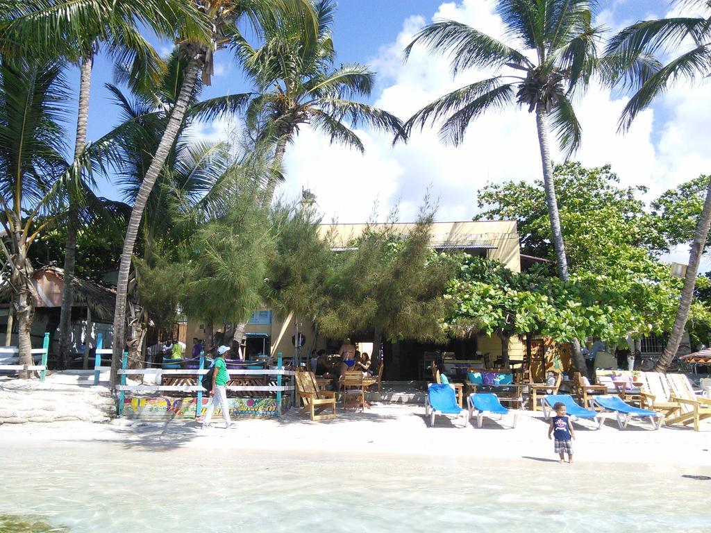 Eco Hotel Club Rolling Stone بوكا شيكا المظهر الخارجي الصورة