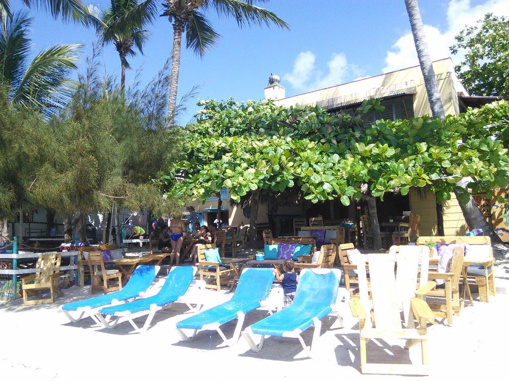 Eco Hotel Club Rolling Stone بوكا شيكا المظهر الخارجي الصورة