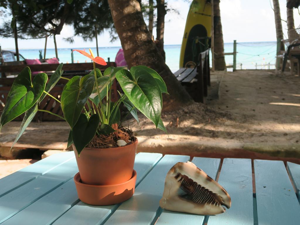 Eco Hotel Club Rolling Stone بوكا شيكا المظهر الخارجي الصورة