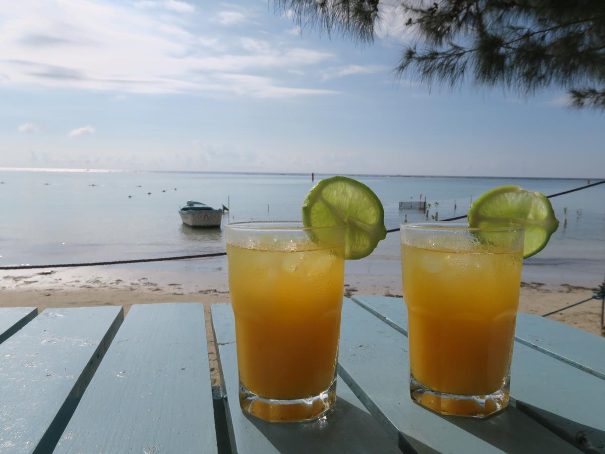 Eco Hotel Club Rolling Stone بوكا شيكا المظهر الخارجي الصورة