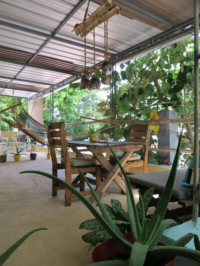 Eco Hotel Club Rolling Stone بوكا شيكا المظهر الخارجي الصورة