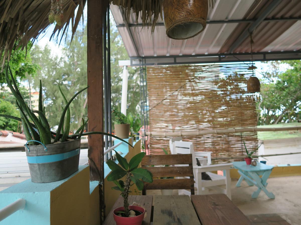 Eco Hotel Club Rolling Stone بوكا شيكا المظهر الخارجي الصورة