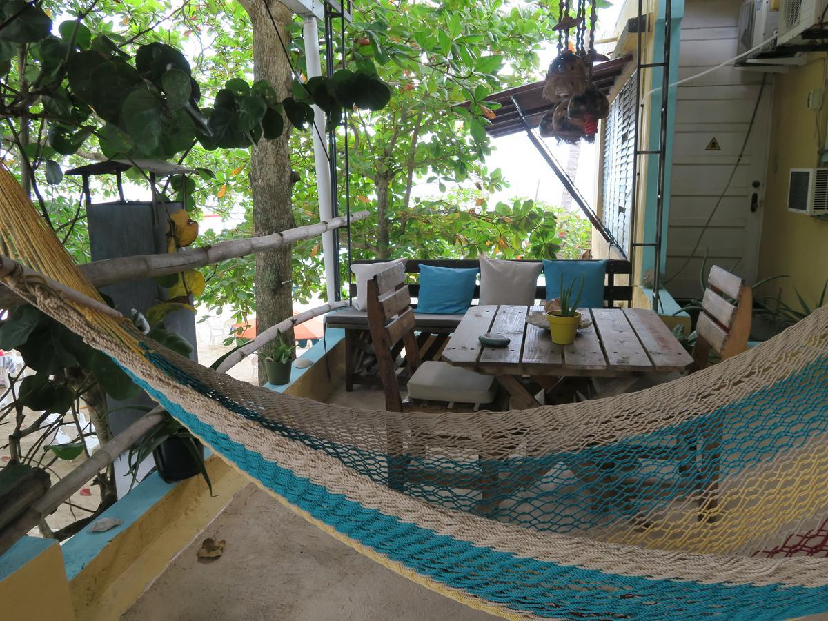 Eco Hotel Club Rolling Stone بوكا شيكا المظهر الخارجي الصورة